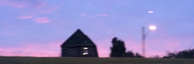 Melissa Giannini banner