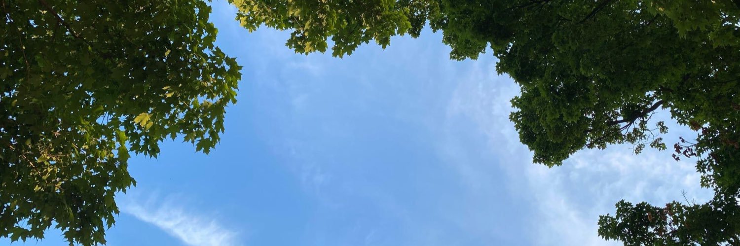 AshleyBethard's profile banner image