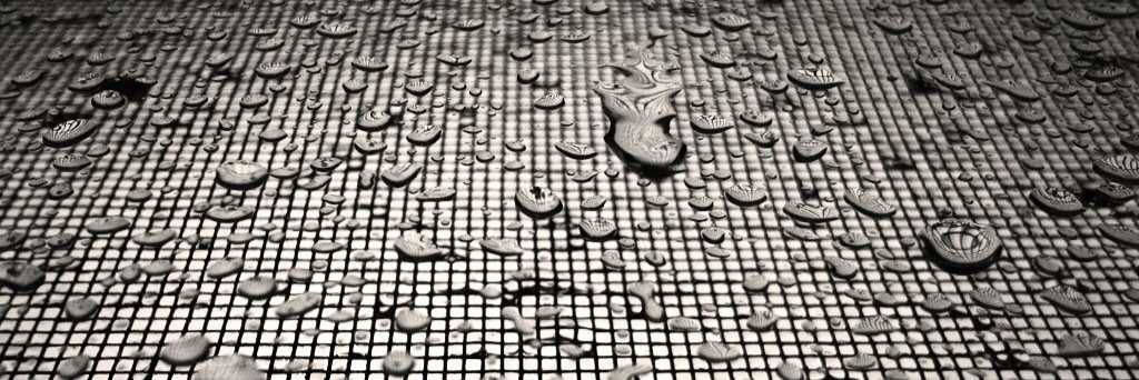 Stephanie Koehler banner