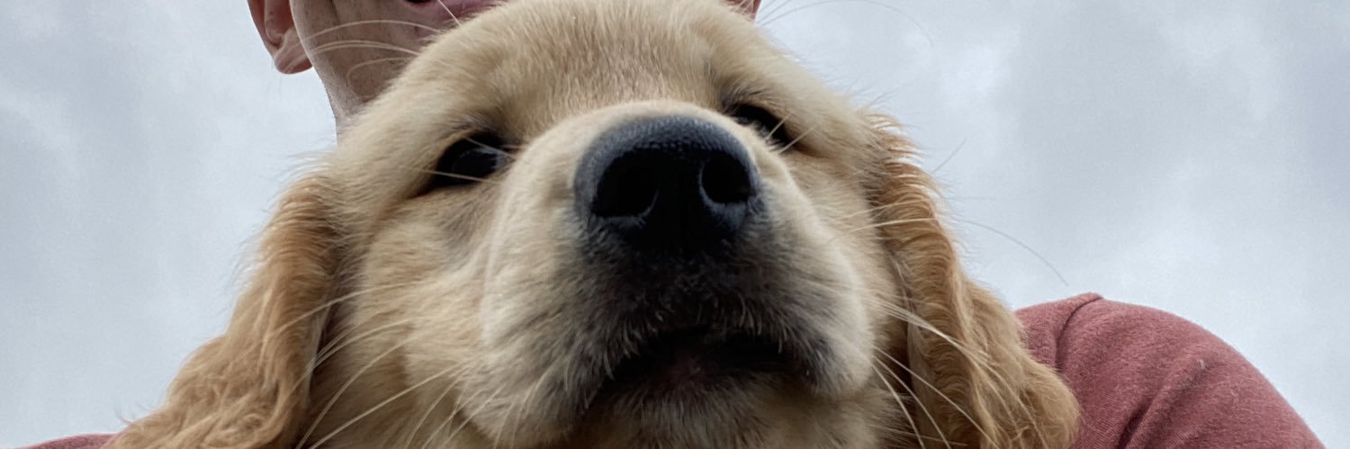 DerekThrows's profile banner image