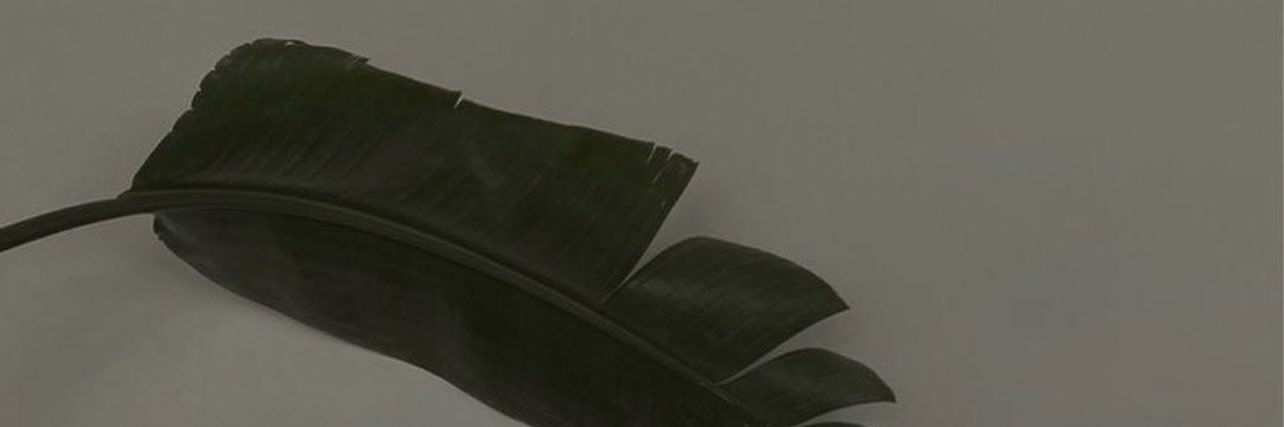 _shrooq1995's profile banner image