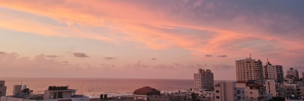 Omar Gaza 🇵🇸's banner