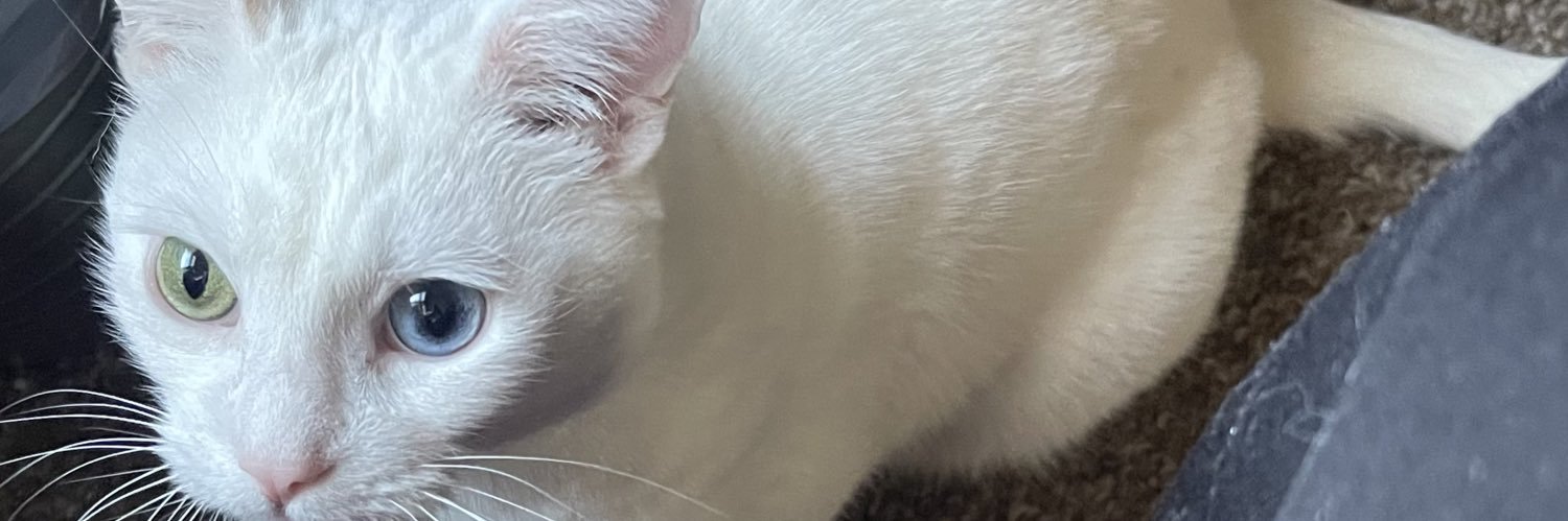 barbara tuben banner