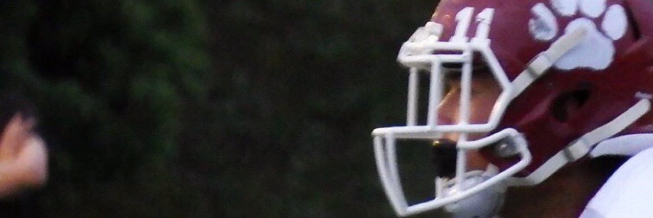 m_panthers's profile banner image