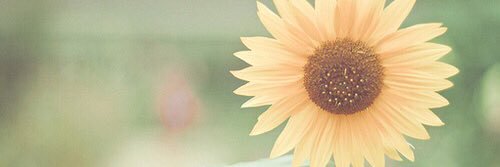 NeedYui's profile banner image
