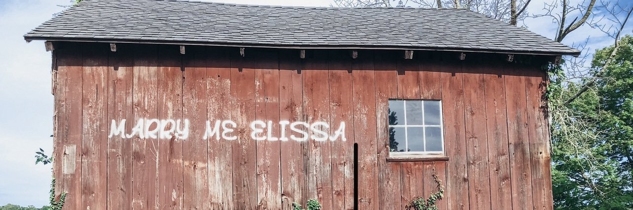ElissaVoccola's profile banner image