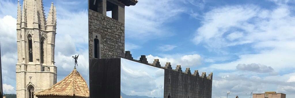 Temps de Flors banner