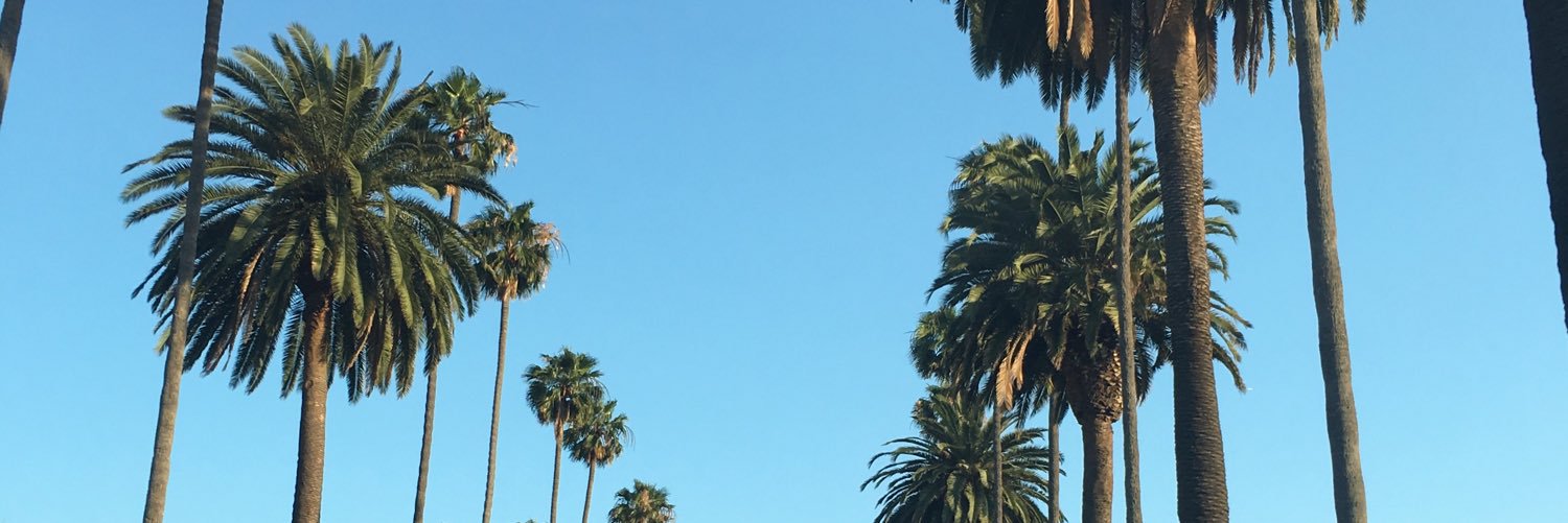 Joycieface's profile banner image