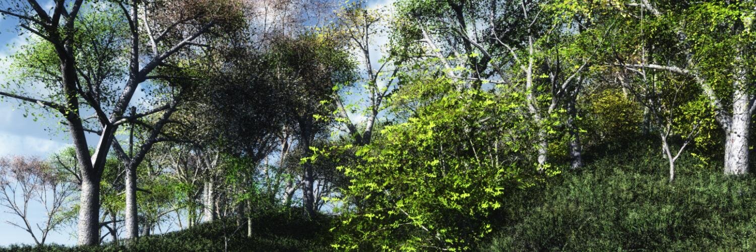 butterflyfish_'s profile banner image