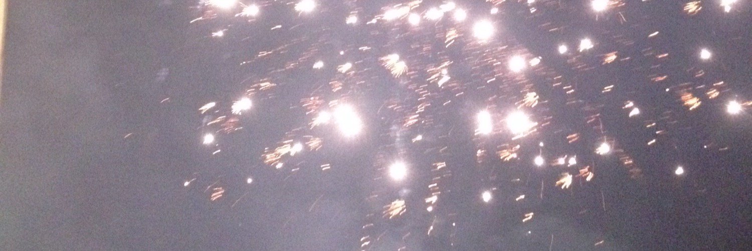 dikshasoni35's profile banner image