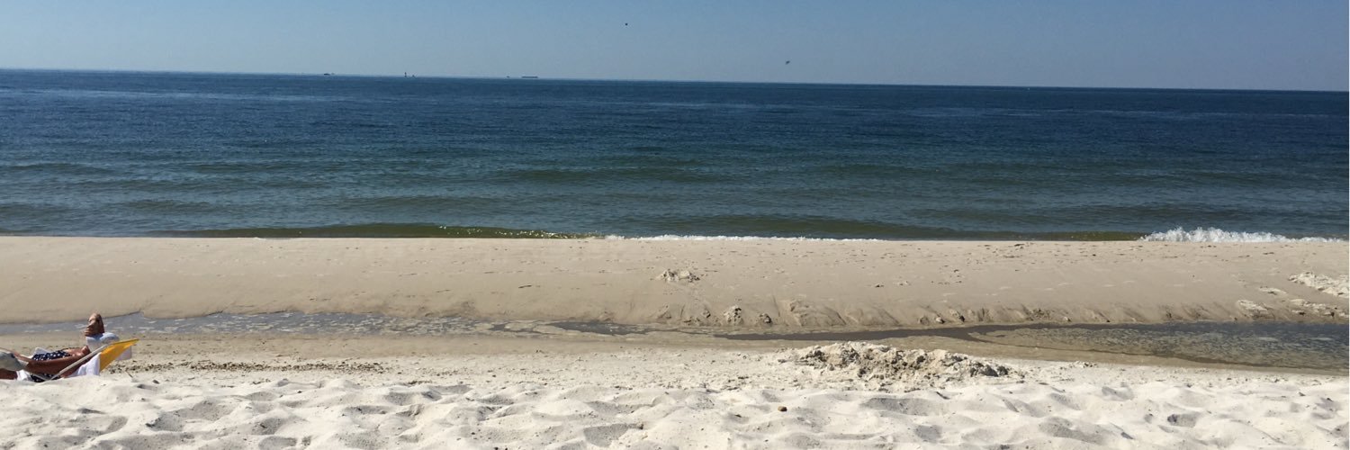 ShanaLClark's profile banner image