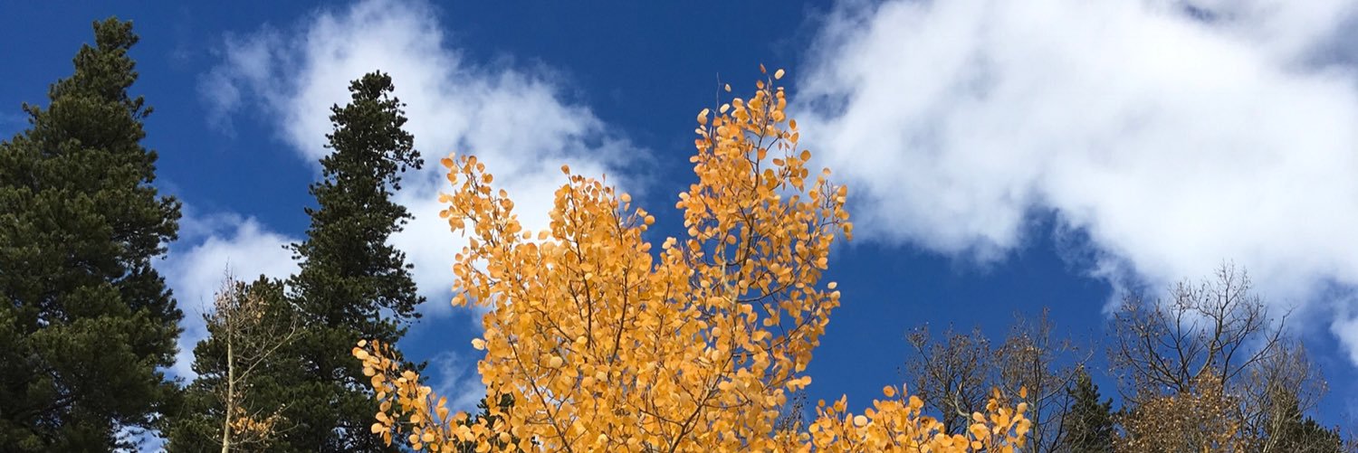 RoachCochran's profile banner image