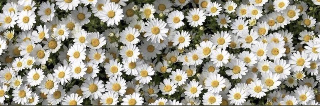 salmma_h's profile banner image