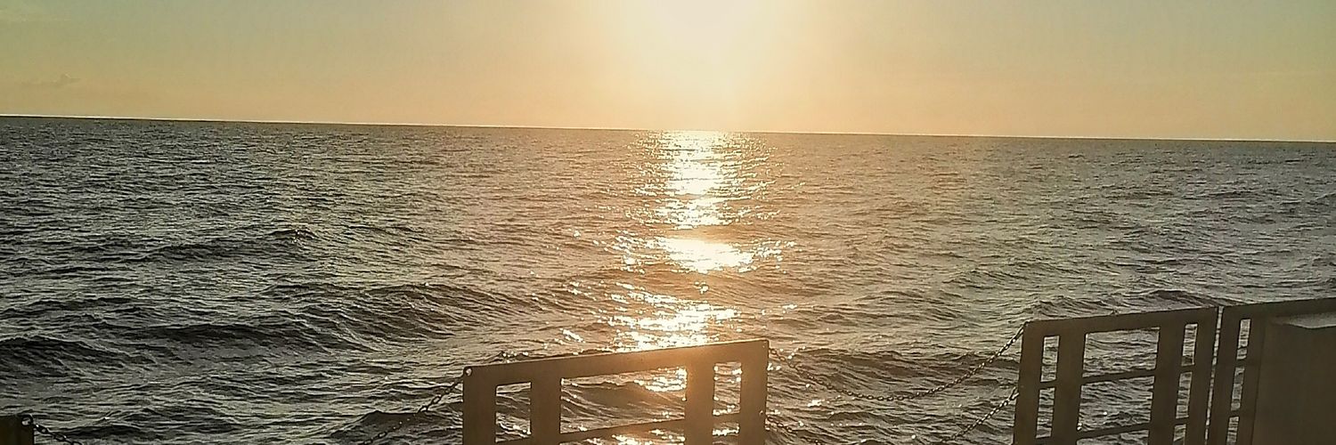 eduphya's profile banner image