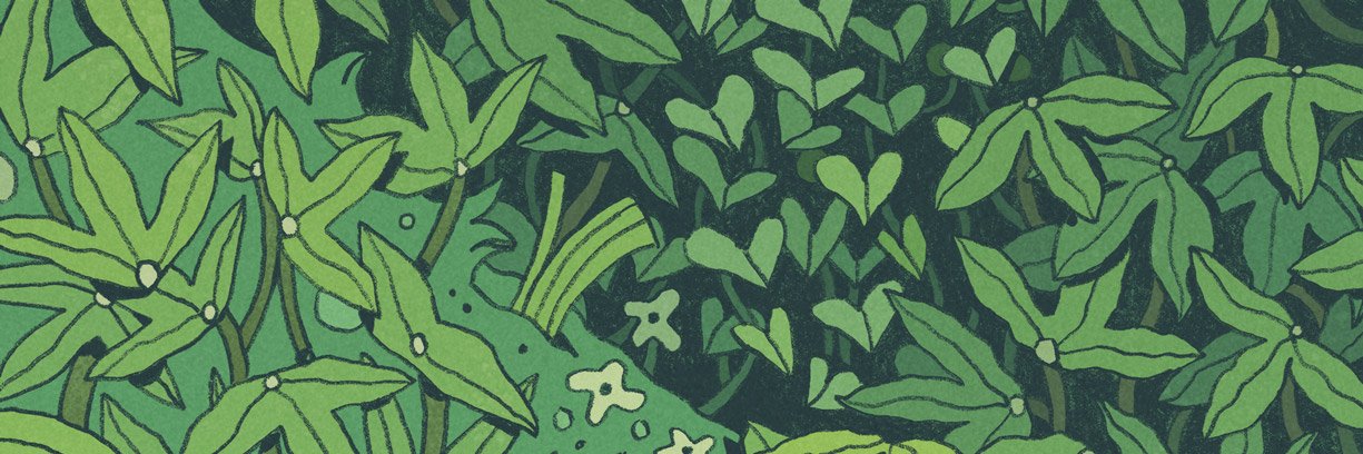 ashnicdel's profile banner image