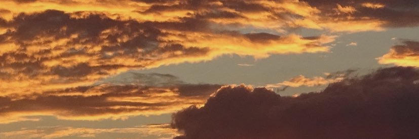 lottiddy's profile banner image