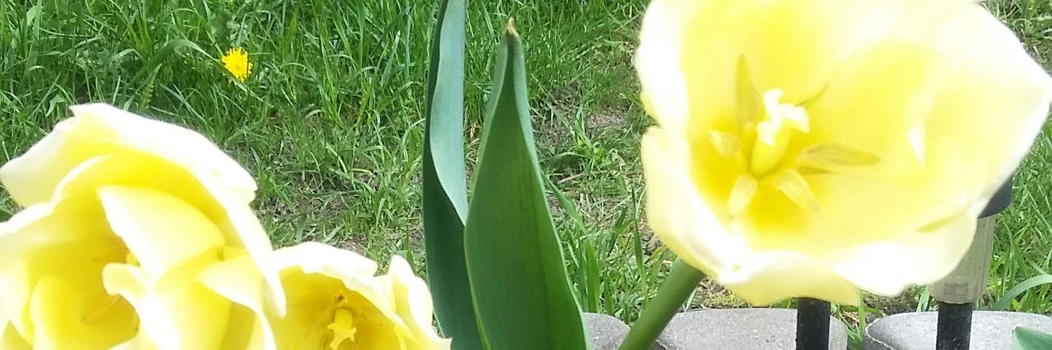 EwkaMaria- 🇵🇱 -niosę cię Polsko jak żagiew.... banner