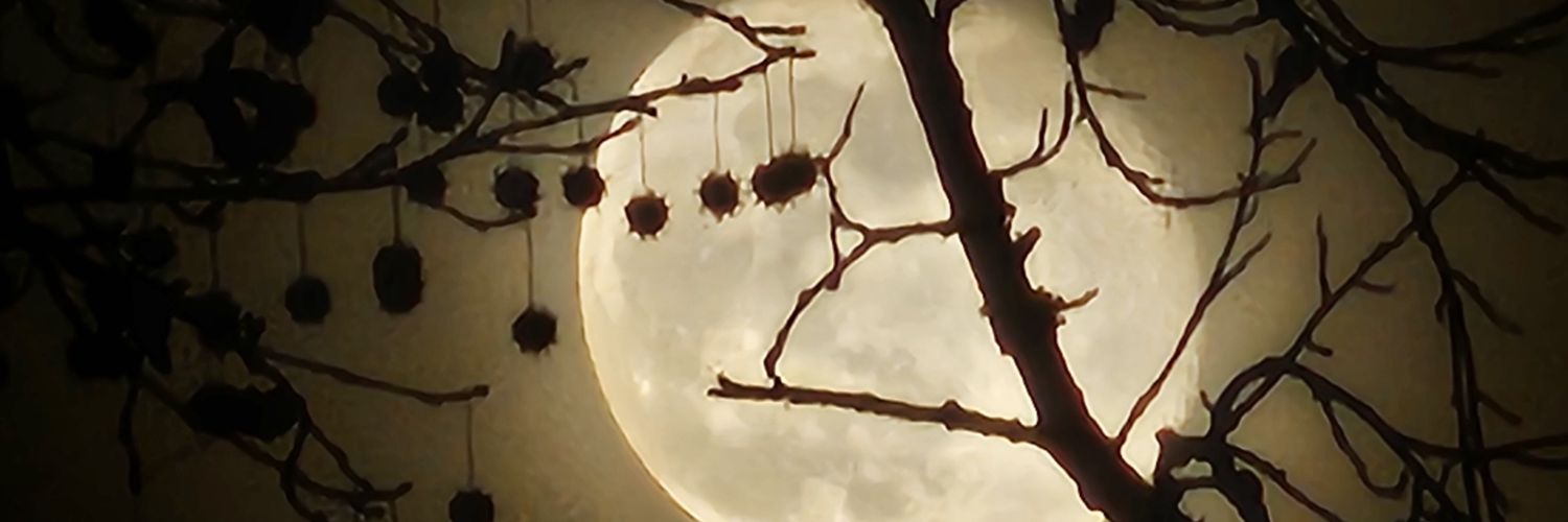 tmstudley's profile banner image