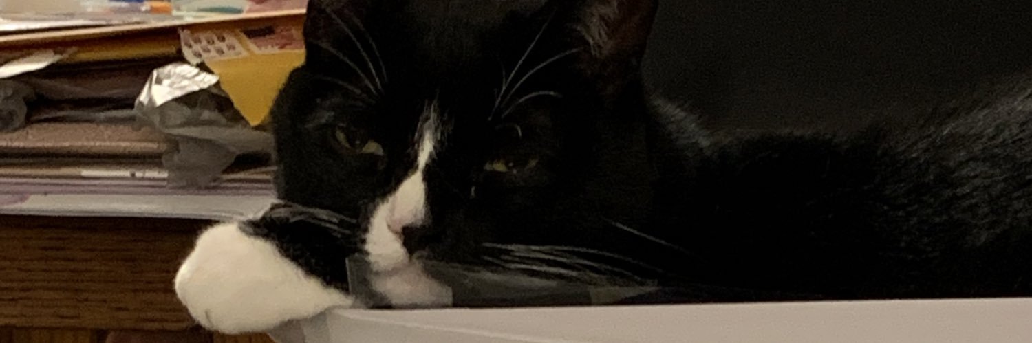 elaynacline's profile banner image