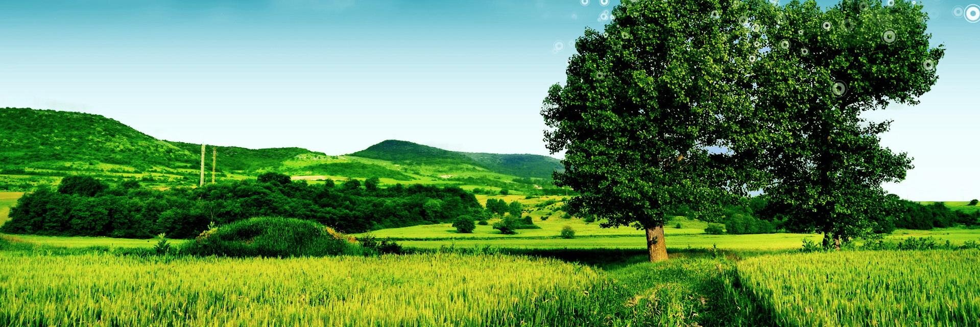 Sandaruwan__'s profile banner image
