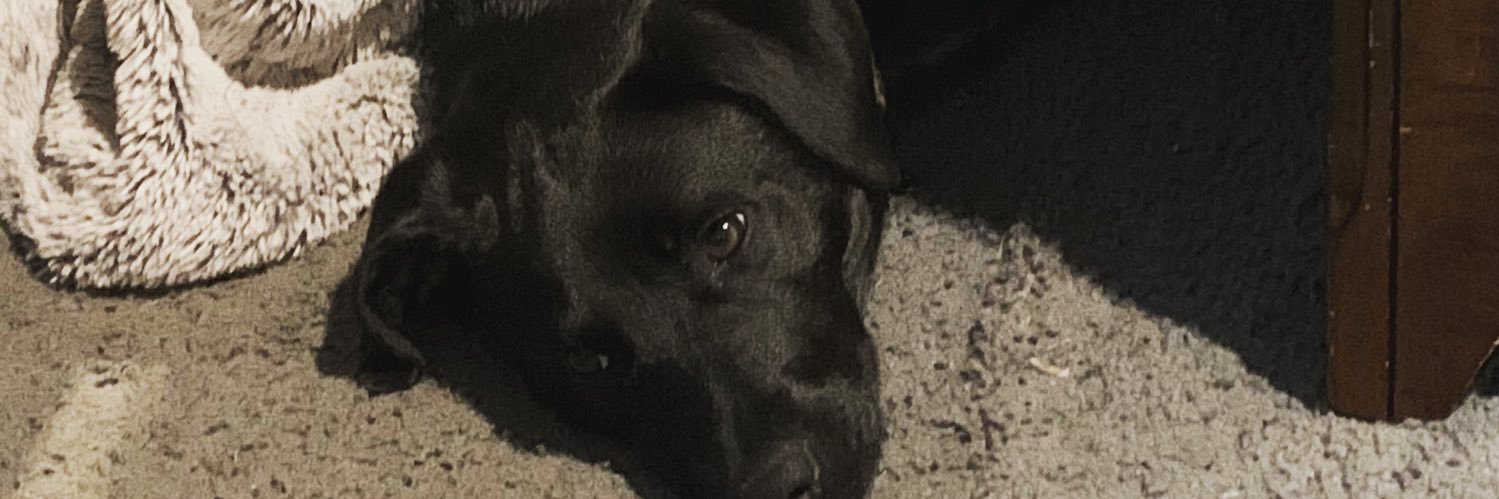 marlou1313's profile banner image