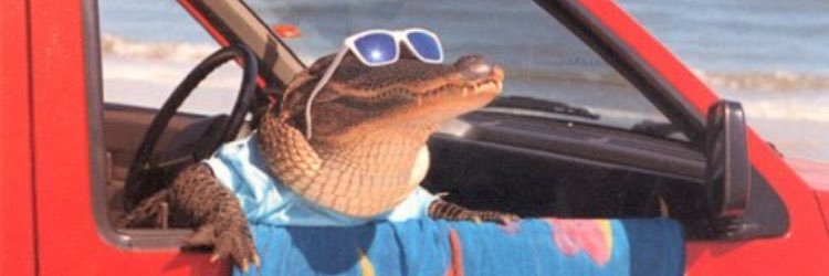 biggredrocket's profile banner image