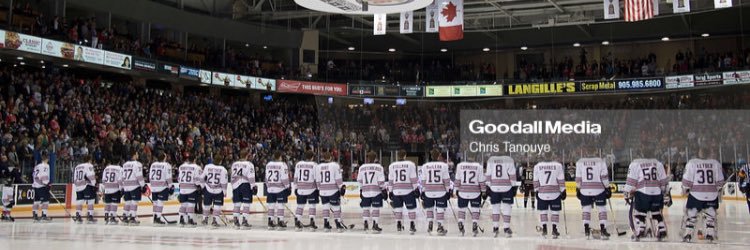 Dom Commisso banner
