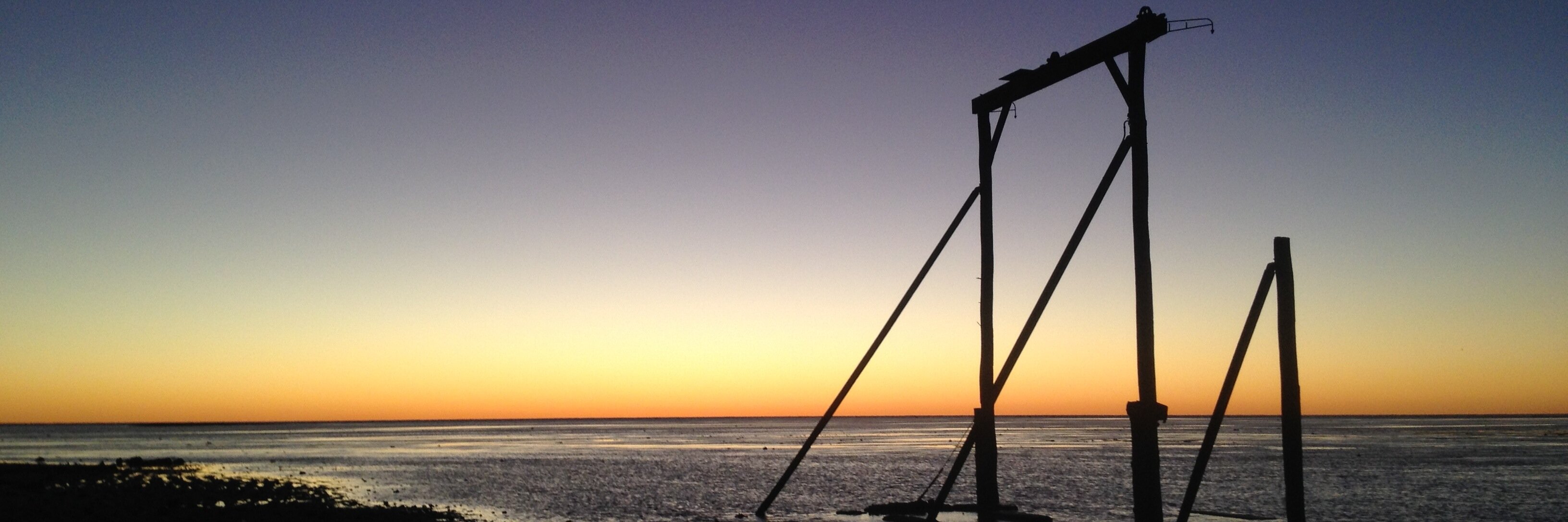 Anthony Harris banner