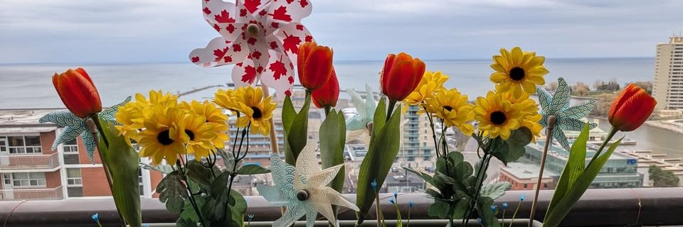 Katherine D Emerson #CA banner