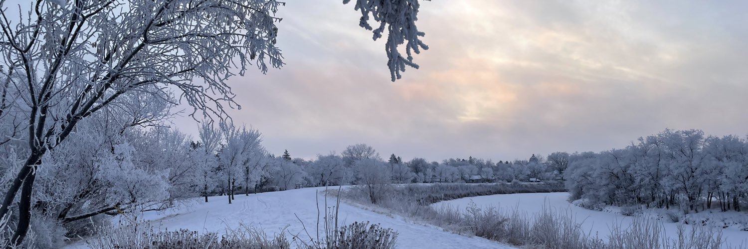 Sarah Cummings Truszkowski banner