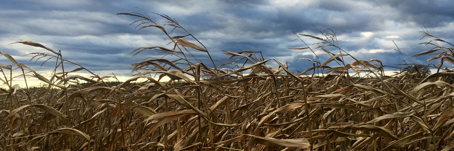 Jonathan Zettel banner