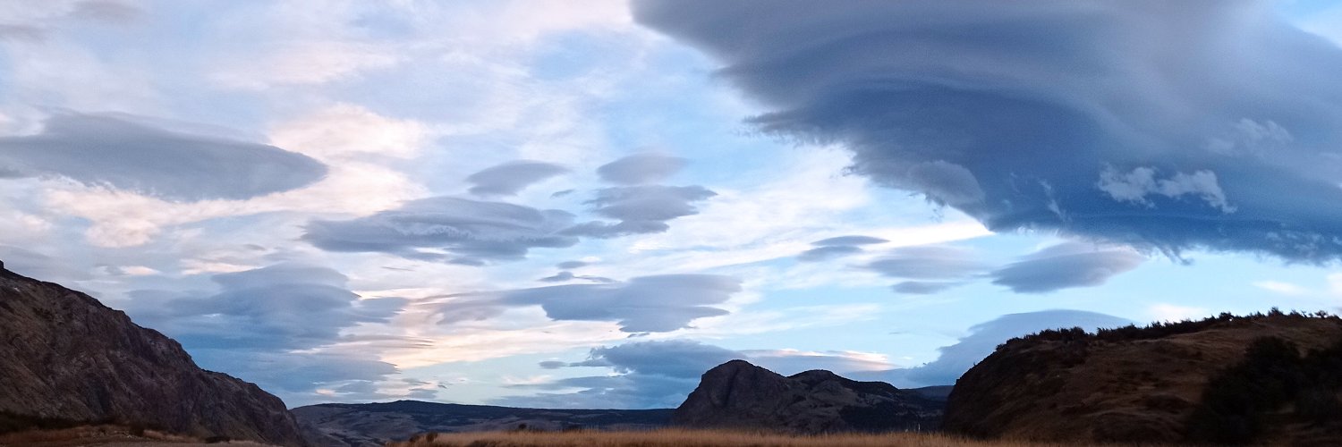 Flor Piñeyrua banner