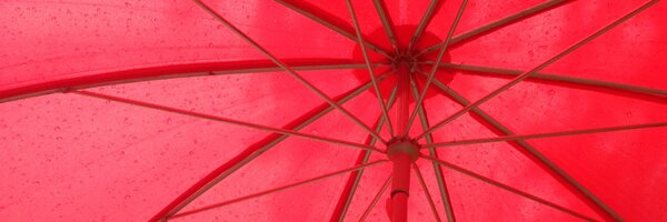 SWOPChicago Profile Banner