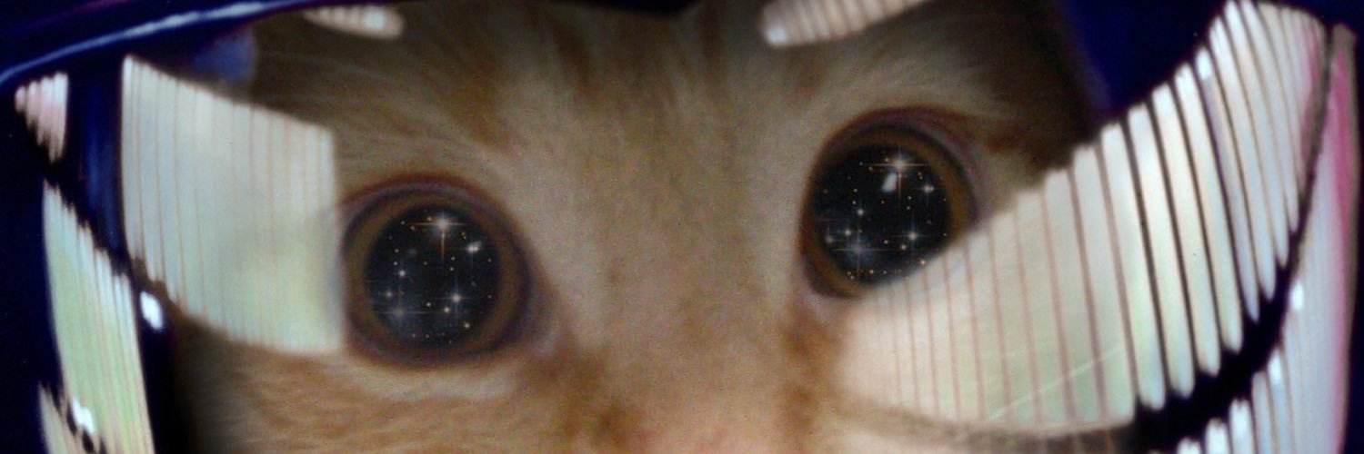 espiffany's profile banner image