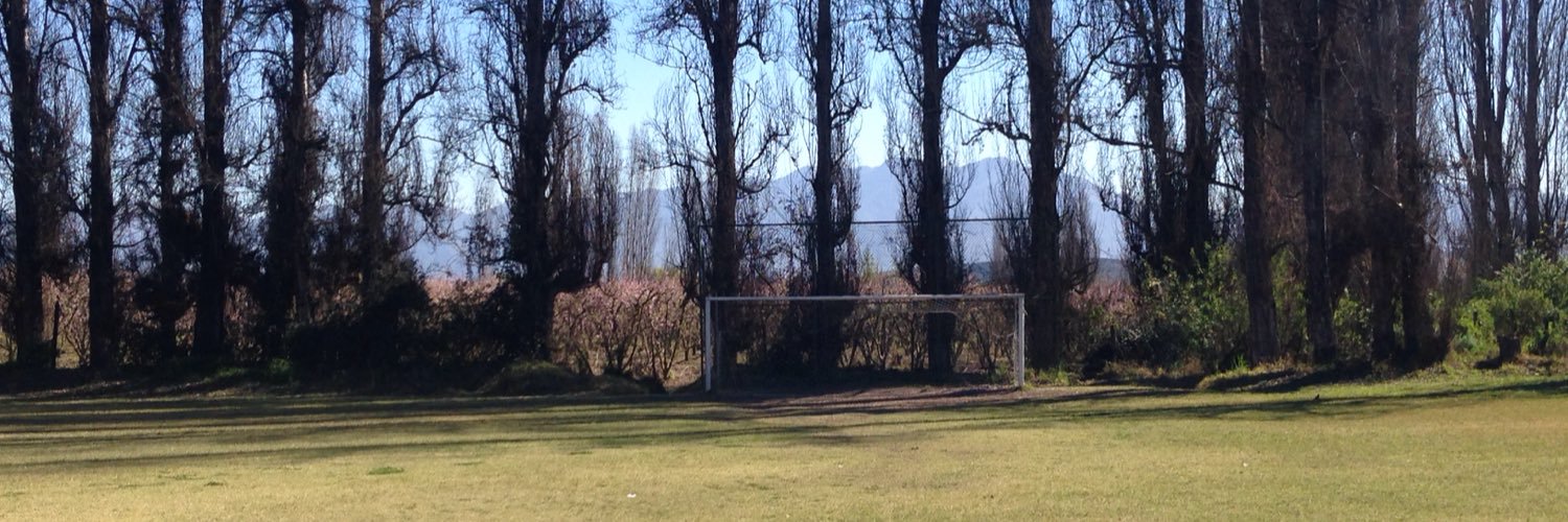 Rodrigo Vega P banner