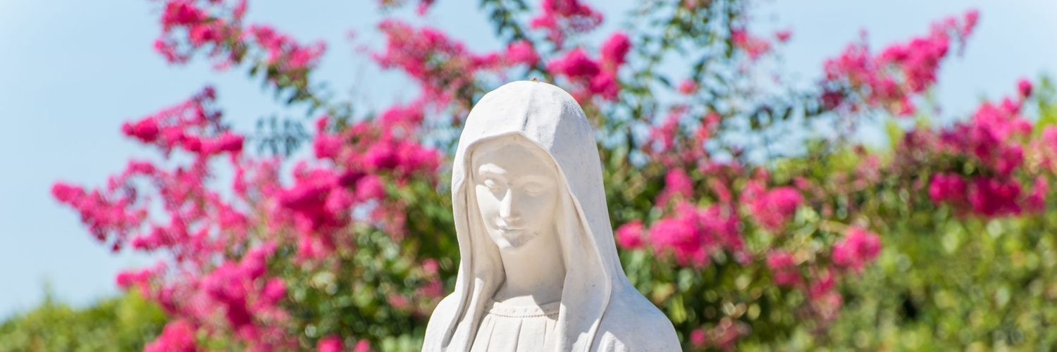 consuelito4's profile banner image