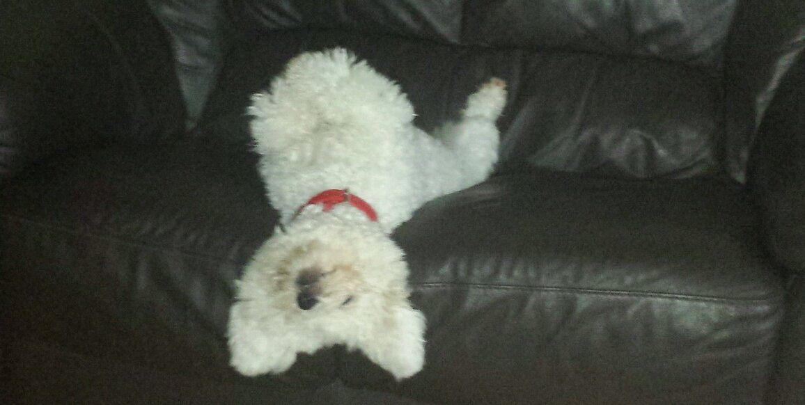 Helen Sullivan banner