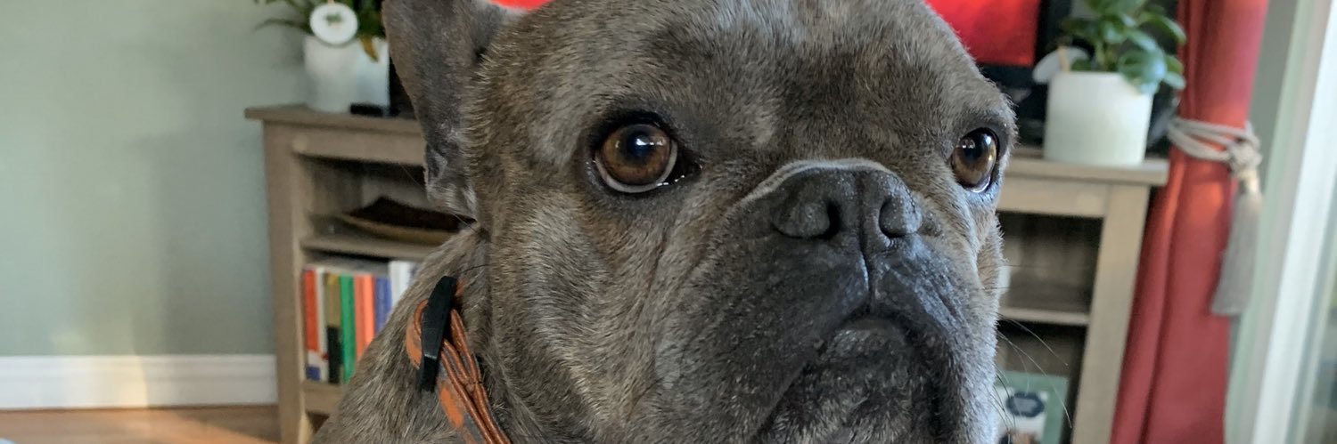Tito_Nation's profile banner image