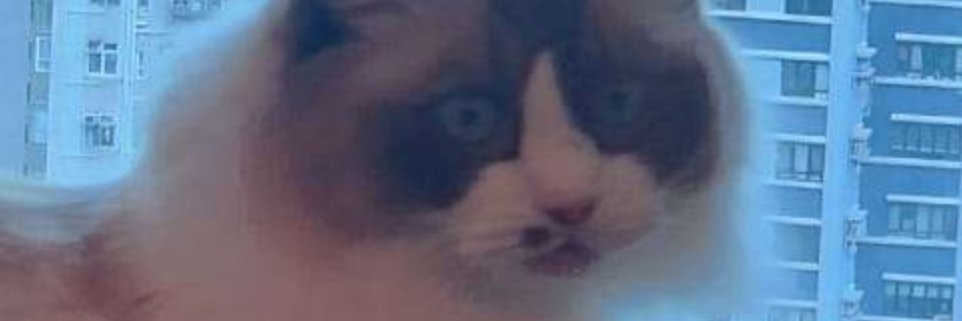 LMK banner