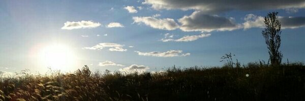 LeopardiMassimo Profile Banner