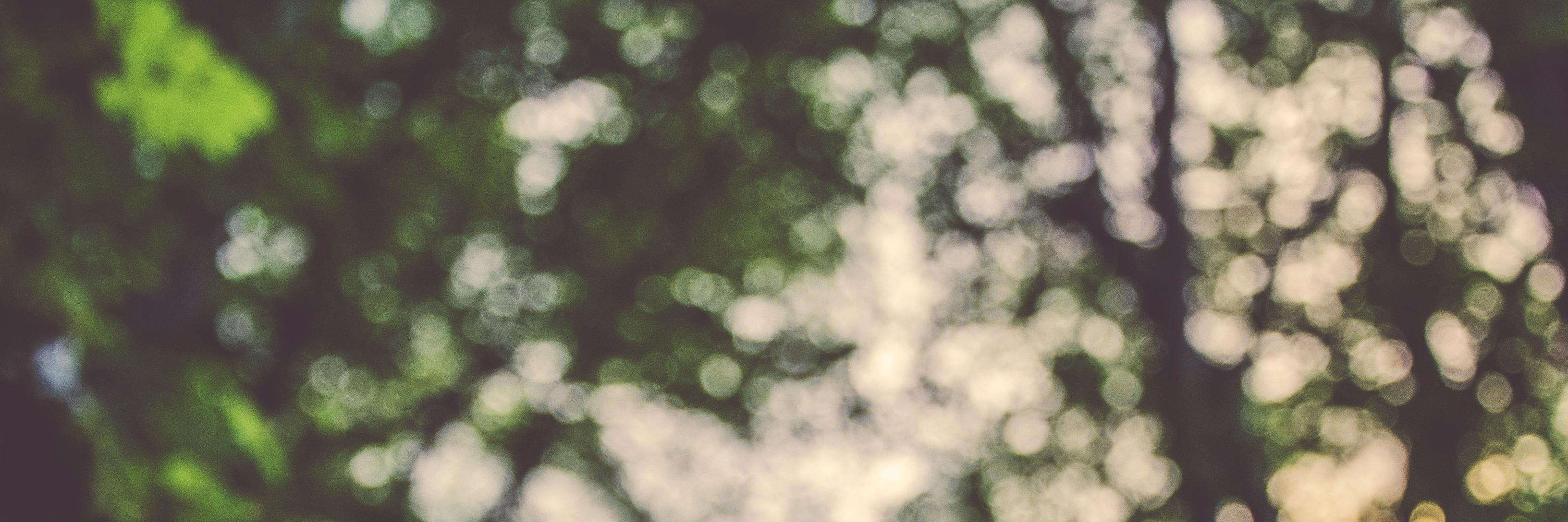 zoebirtles's profile banner image