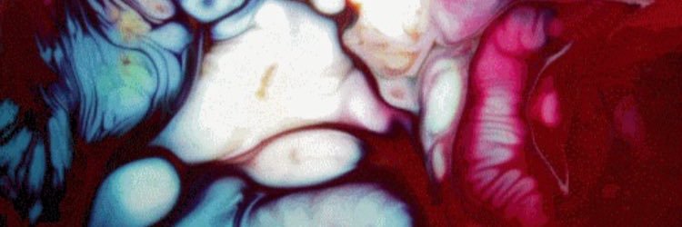 shayyhepler's profile banner image