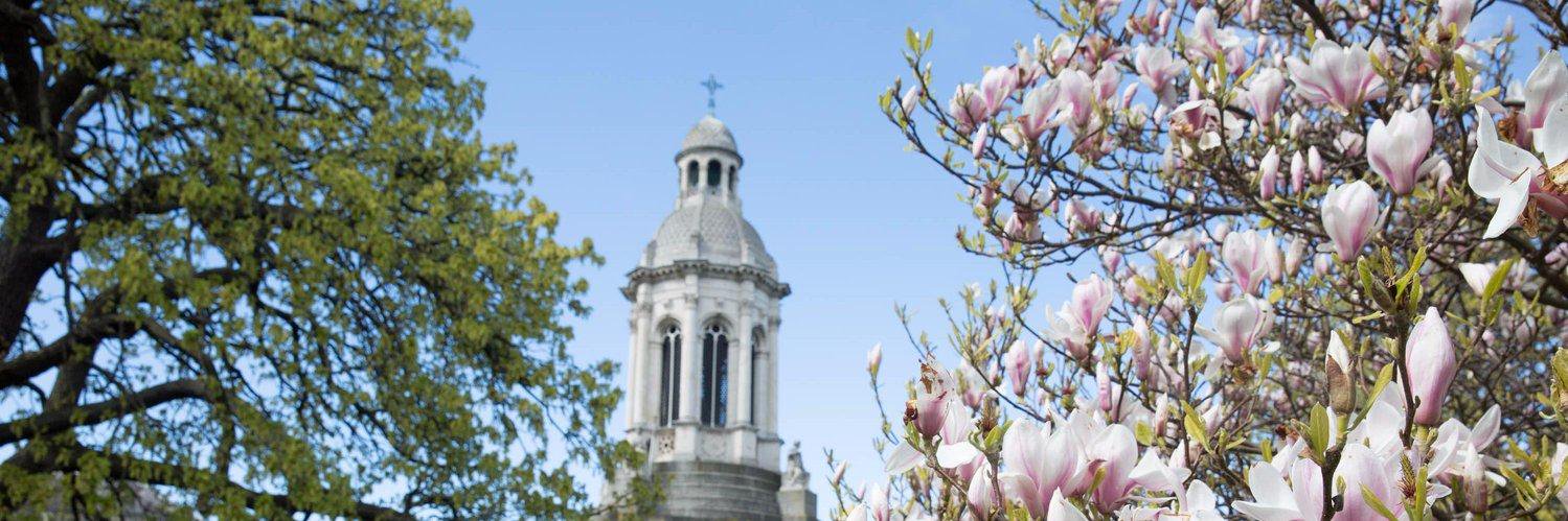 TCD Political Science's banner
