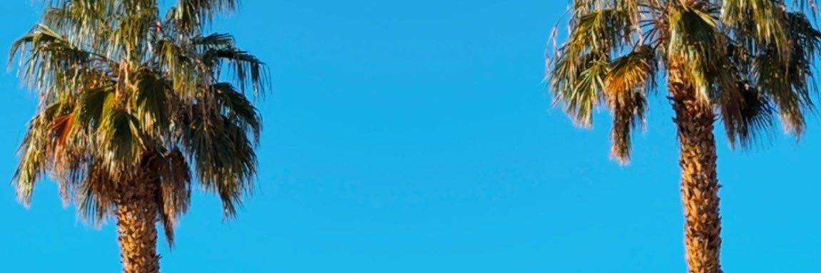 1Laffin's profile banner image