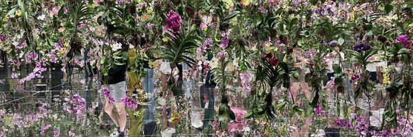 monobor Profile Banner