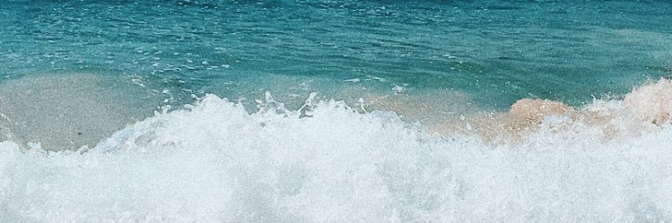 saramf22's profile banner image