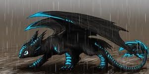 P_r21's profile banner image