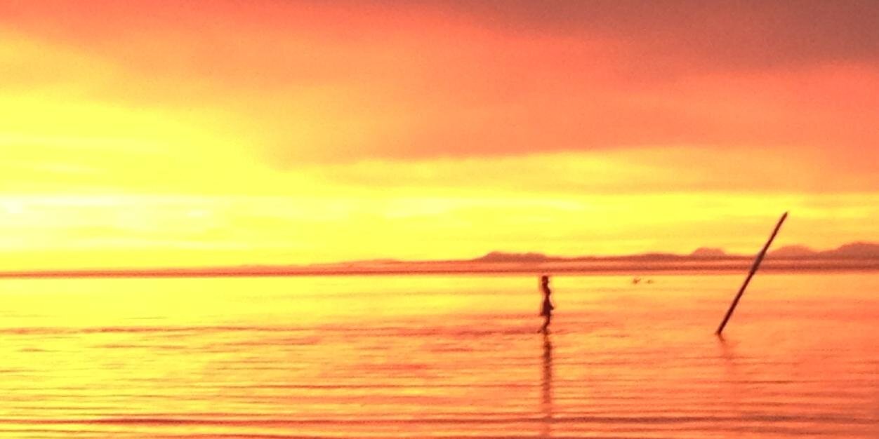 sealovin's profile banner image
