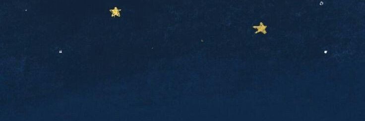 detaannisaa's profile banner image