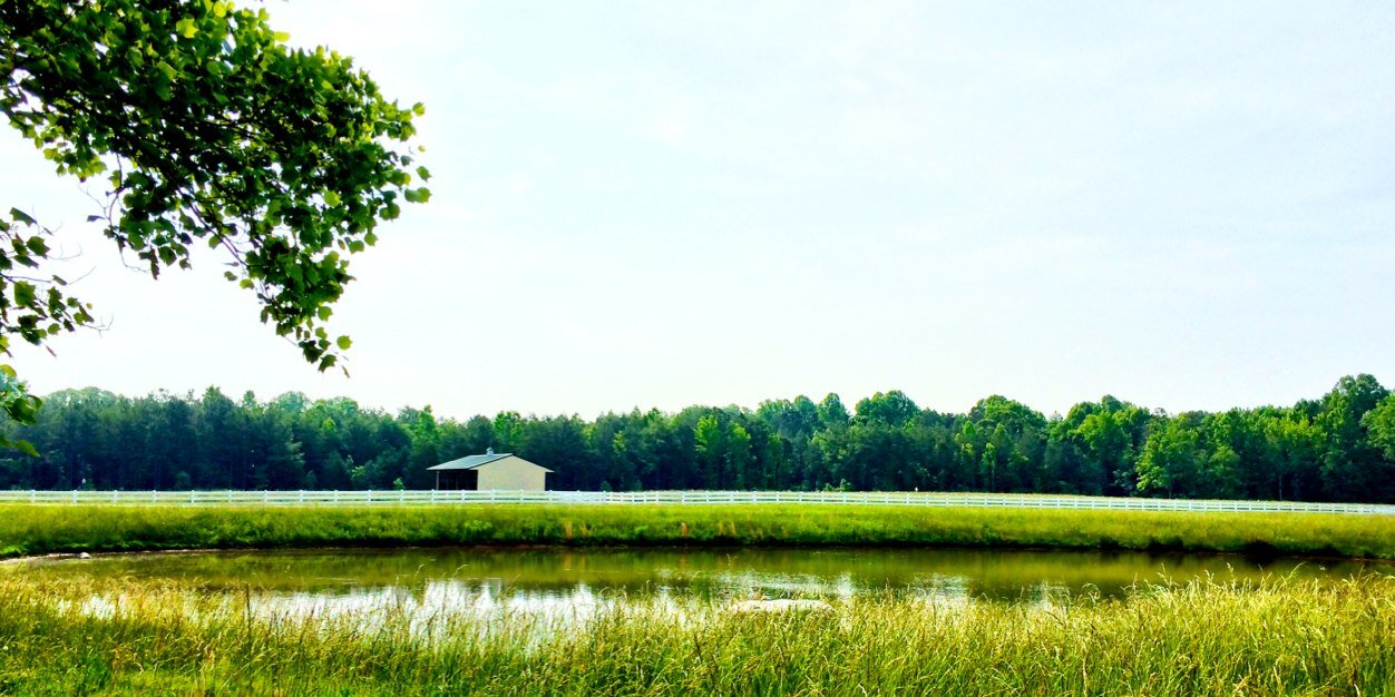 DallasStenhouse's profile banner image